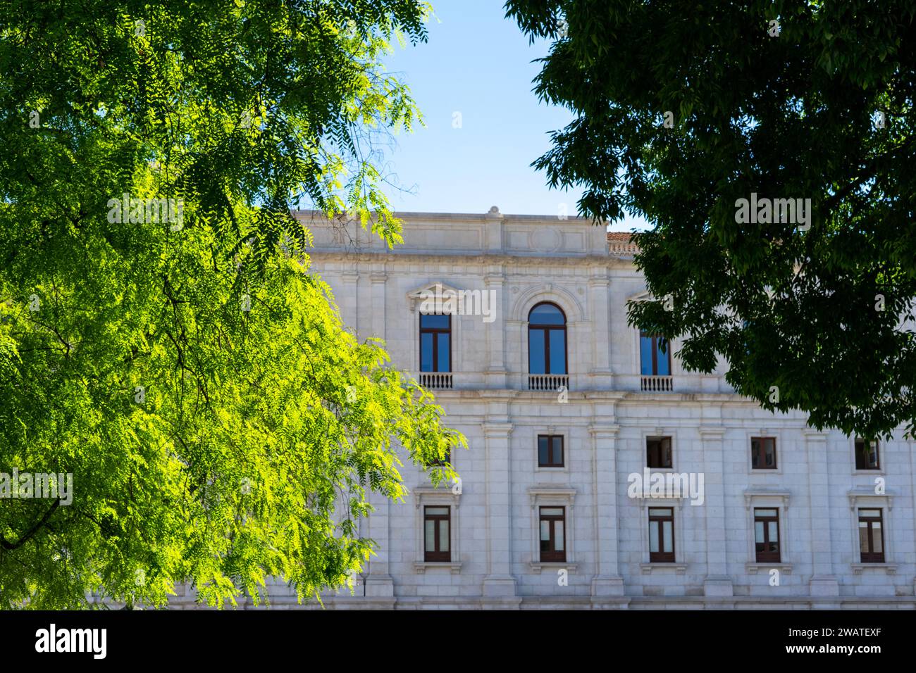 Ammira attraverso gli alberi la facciata dell'assemblea della repubblica portoghese. Foto Stock