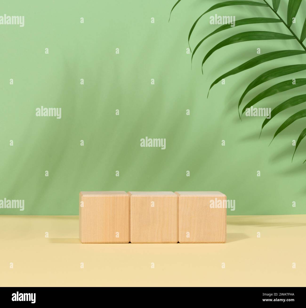 Piattaforma fatta di cubi di legno e rametto di palme su sfondo verde, scene per dimostrazioni e pubblicità di prodotti Foto Stock