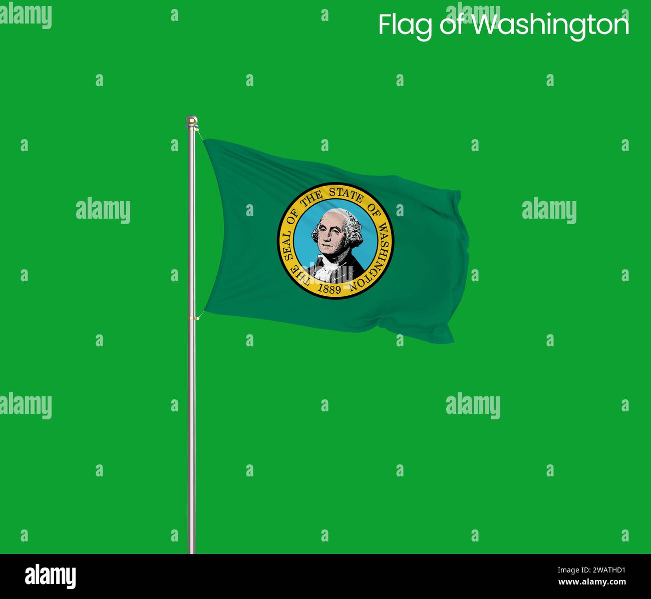 Patch Toppa Ricamata Bandiera Washington Termoadesivo - Foto 12