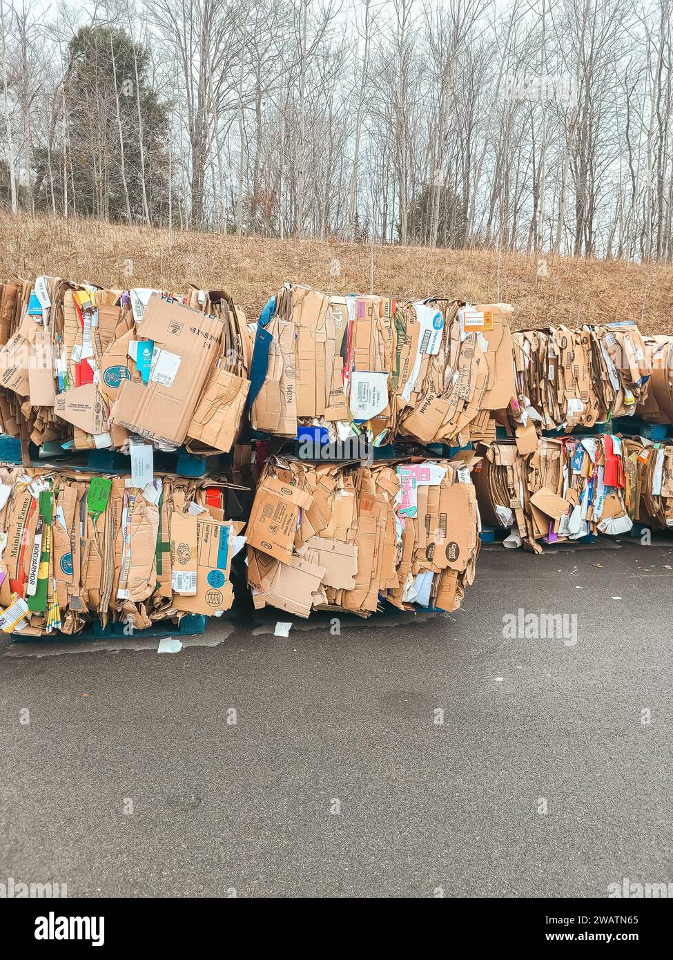 Le scatole di cartone rotte sono appiattite e impilate per essere riciclate e inviate al camion di riciclaggio dietro il grande magazzino Foto Stock