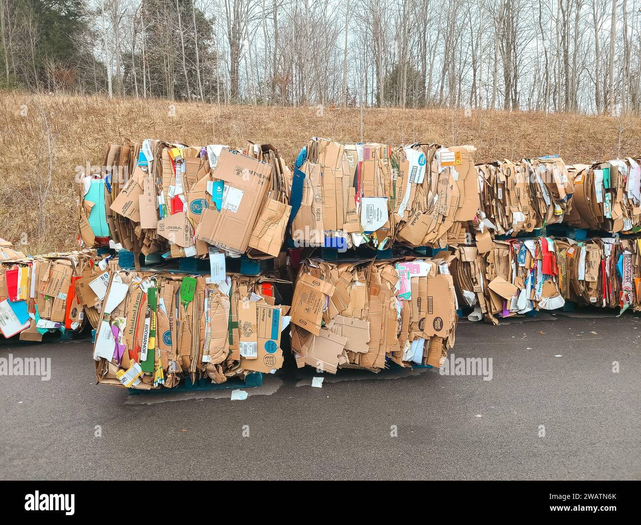 Le scatole di cartone rotte sono appiattite e impilate per essere riciclate e inviate al camion di riciclaggio dietro il grande magazzino Foto Stock