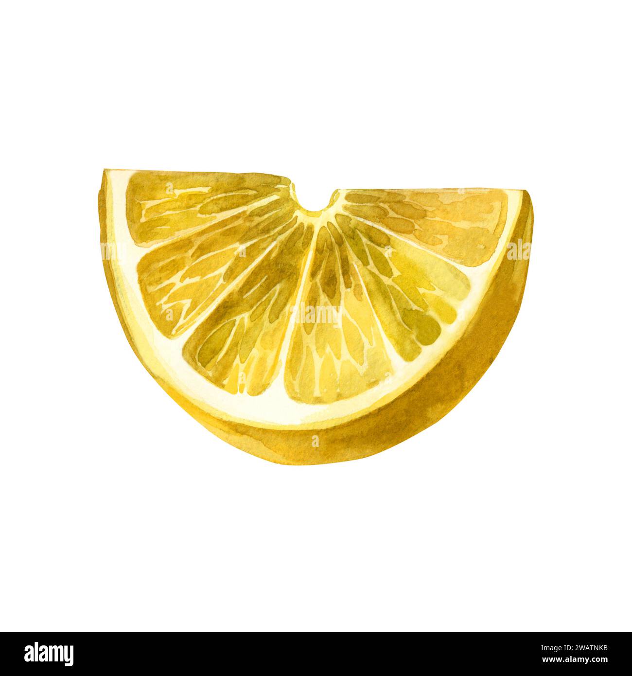 Illustrazione acquerello. Una fetta di limone giallo disegnata a mano con acquerello su sfondo bianco. Adatto per la stampa su tessuto e carta Foto Stock