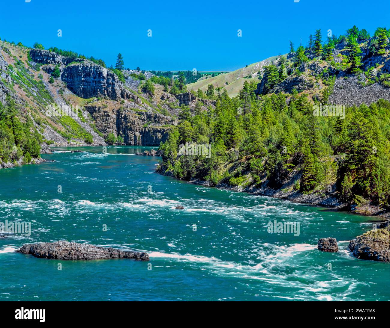 rapide di buffalo in un canyon lungo il fiume flawthead sotto la diga di kerr vicino a polson, montana Foto Stock