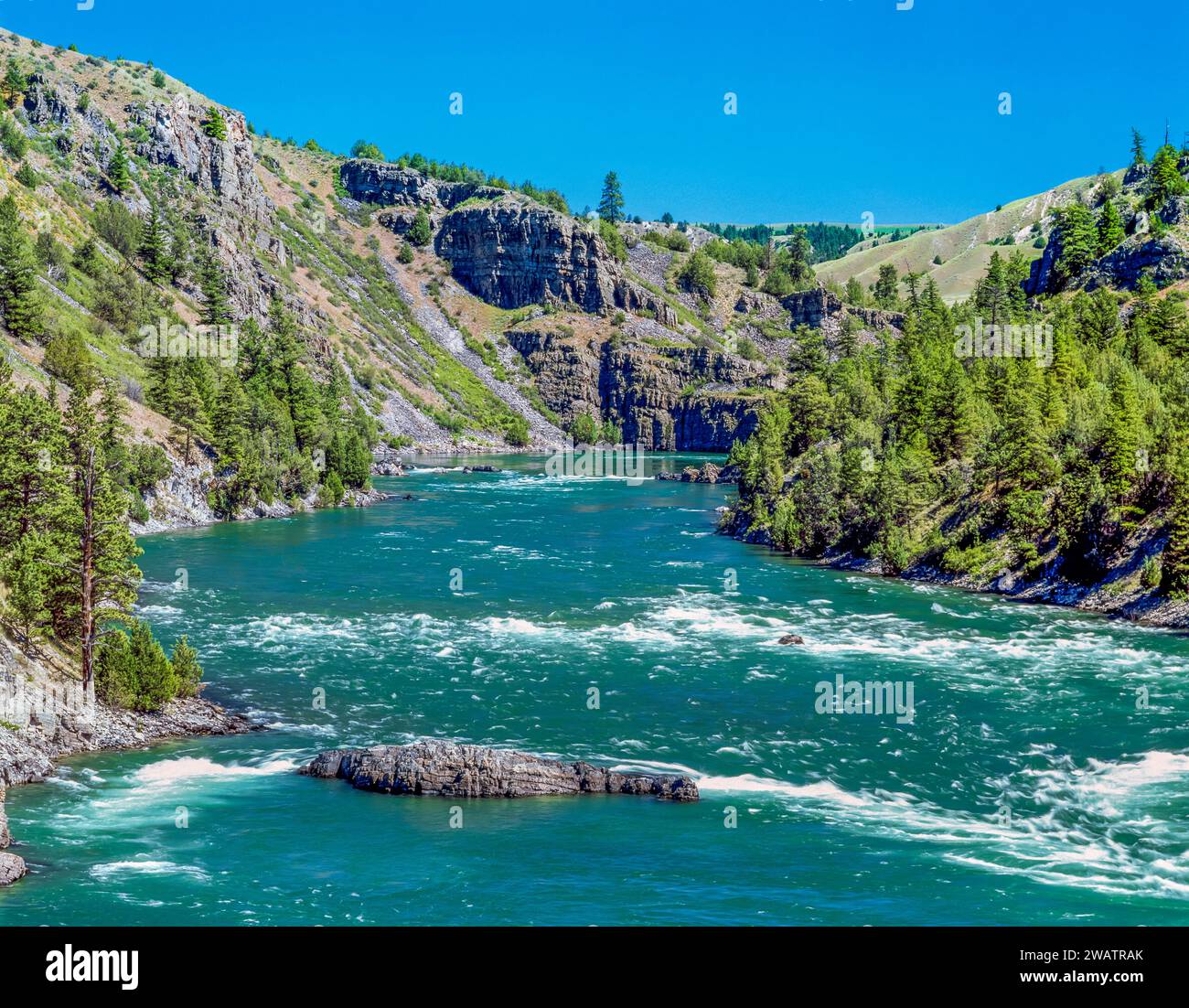 rapide di buffalo in un canyon lungo il fiume flawthead sotto la diga di kerr vicino a polson, montana Foto Stock