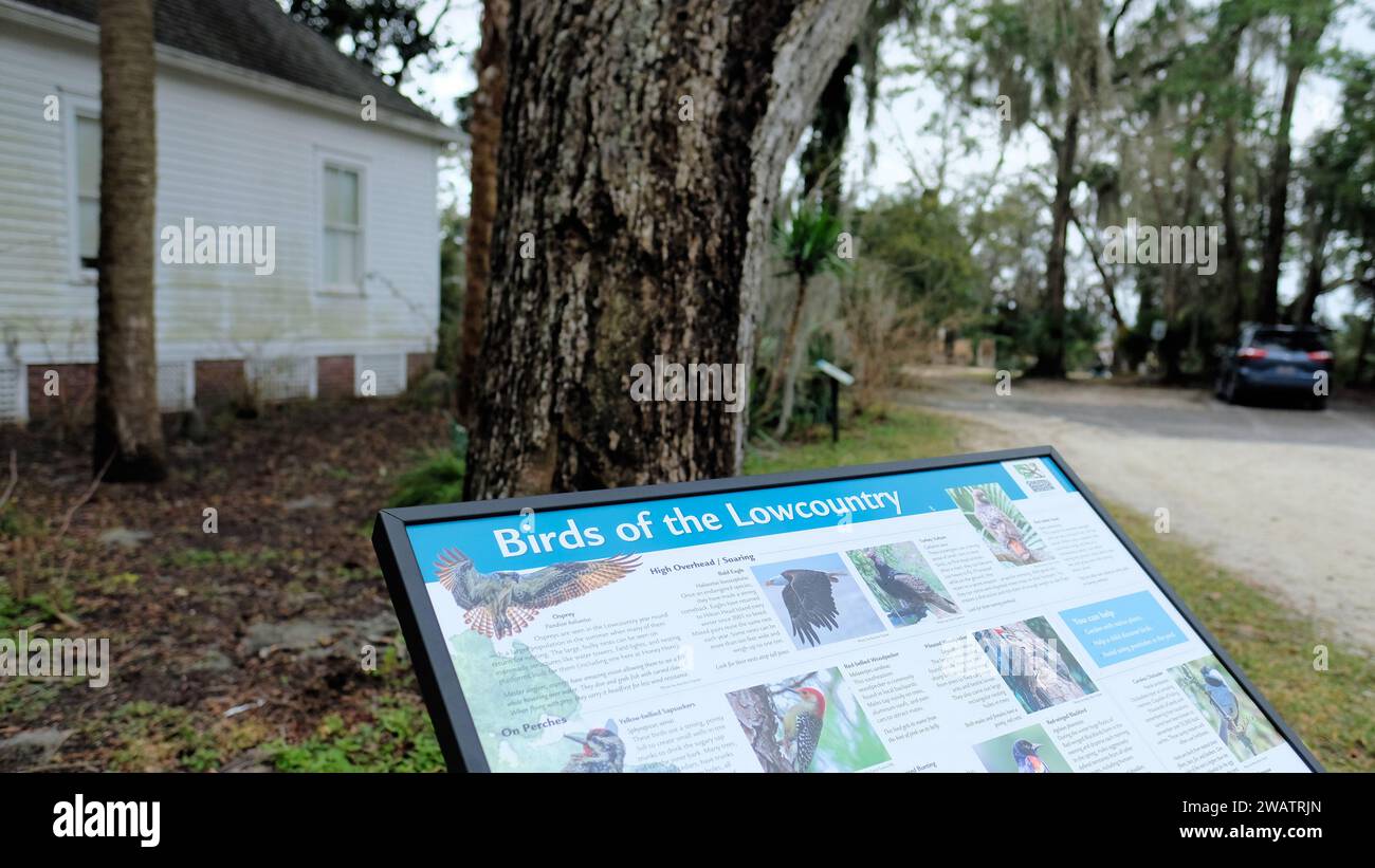 Tabellone grafico informativo sugli uccelli del Lowcountry su un sentiero naturalistico a piedi al Coastal Discovery Museum di Hilton Head, South Carolina. Foto Stock