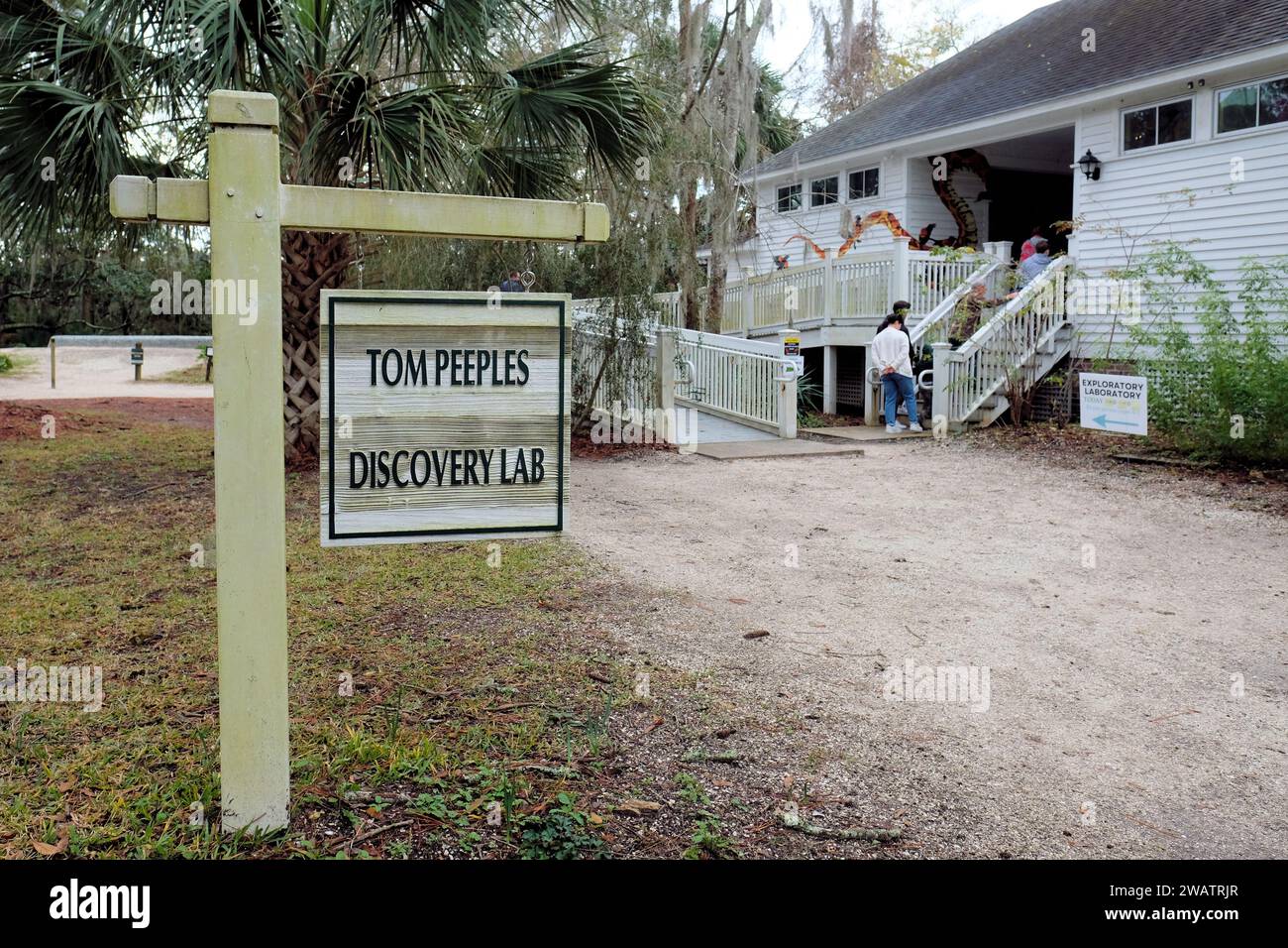 Tom Peeples Discovery Lab presso il Coastal Discovery Museum, un luogo educativo interattivo con mostre di animali dal vivo; Hilton Head, South Carolina. Foto Stock