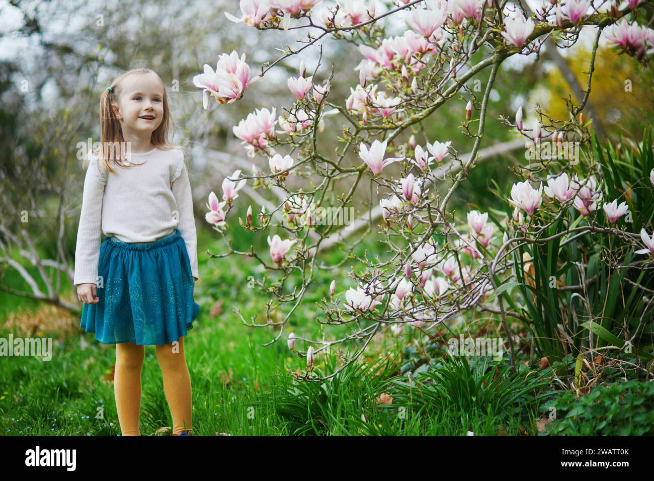 Adorabile bambina in età prescolare che si gode una bella giornata primaverile nel parco durante la stagione della fioritura della magnolia. Attività primaverili all'aperto per bambini. Il bambino spiega Foto Stock