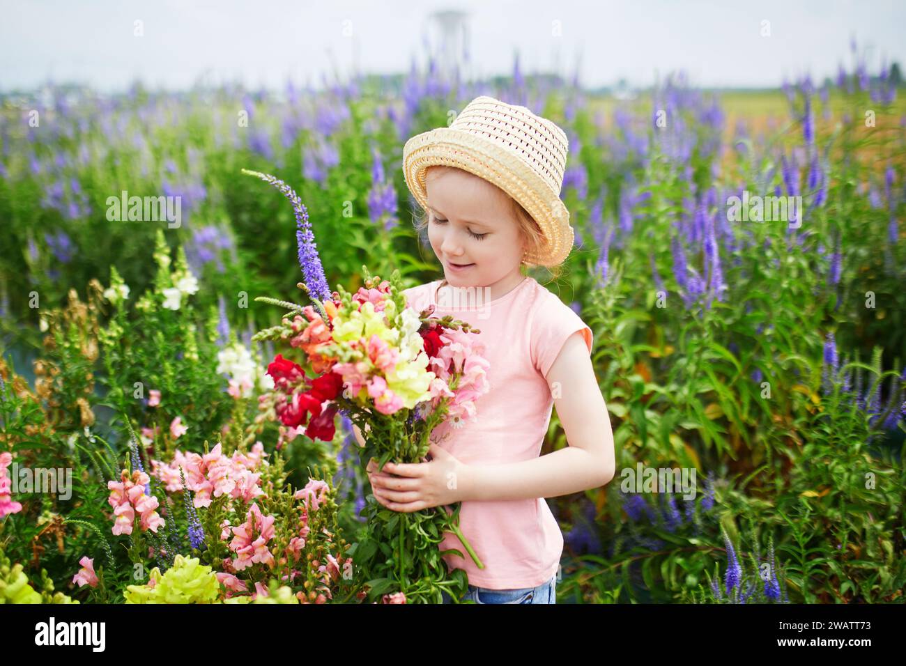 Adorabile bambina in età prescolare che raccoglie bellissimi fiori di antirrrhinum in fattoria. Attività estive all'aperto per bambini Foto Stock