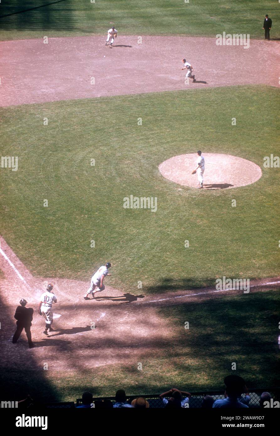 DETROIT, MI - GIUGNO 27: il lanciatore Paul Foytack n. 21 dei Detroit Tigers lanciò il campo mentre Bob Nieman n. 4 dei Baltimore Orioles colpì una palla da terra fino all'interbase Rocky Bridges n. 8 dei Tigers durante una partita della MLB il 27 giugno 1959 al Briggs Stadium di Detroit, Michigan. Il ricevitore dei Tigers è Red Wilson #10 e l'arbitro è Joe Paparella. (Foto di Hy Peskin) *** didascalia locale *** Paul Foytack;Bob Nieman;Rocky Bridges;Red Wilson;Joe Paparella Foto Stock