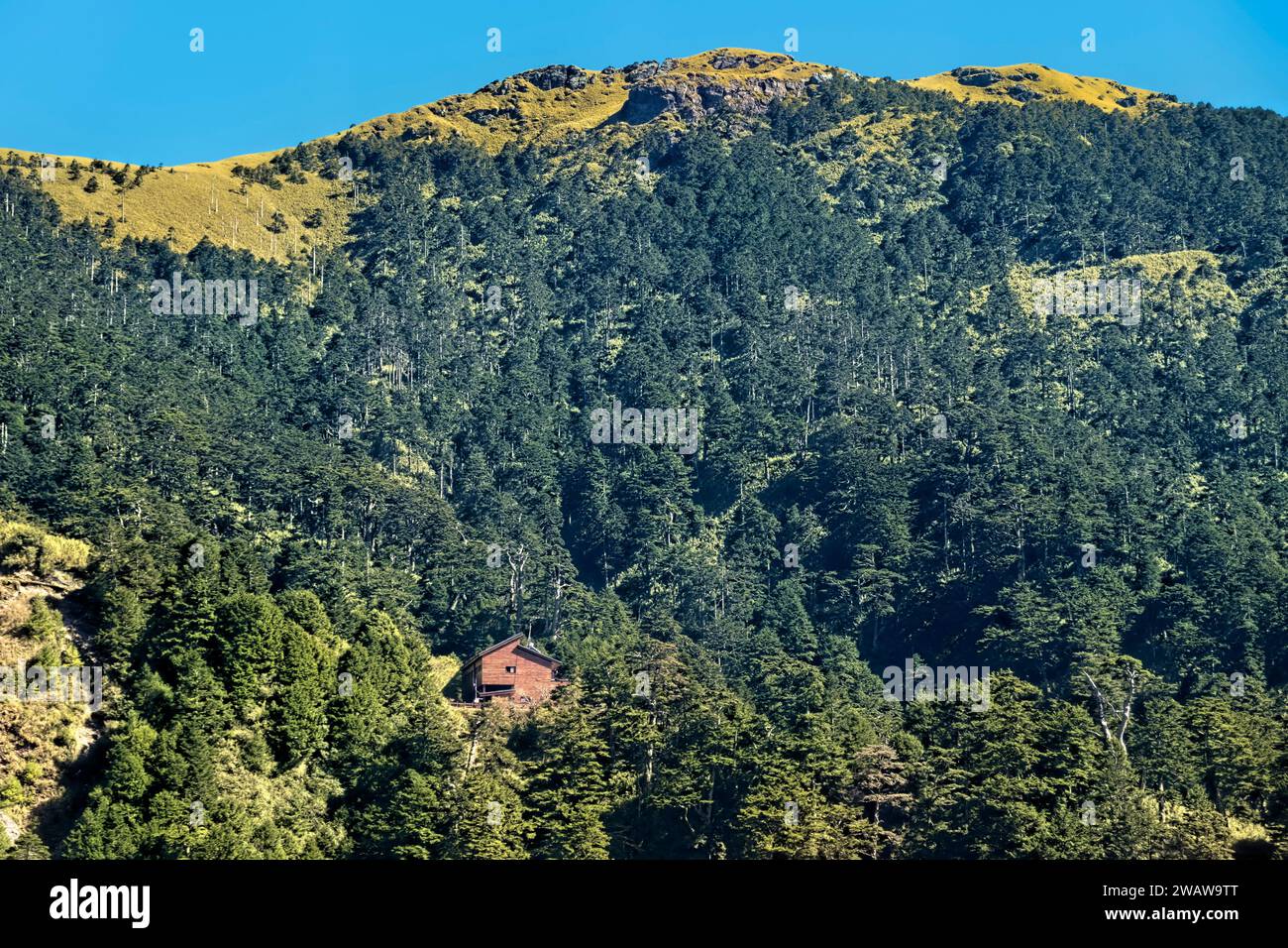 Tianchi Lodge sul Nenggao Historical Trail, Nantou, Taiwan Foto Stock