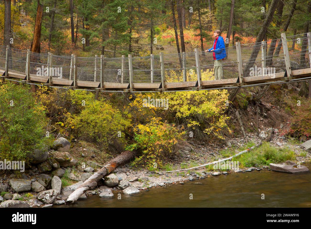 Rock Creek a ponte Benvenuti Creek sentiero, Lolo National Forest, Montana Foto Stock