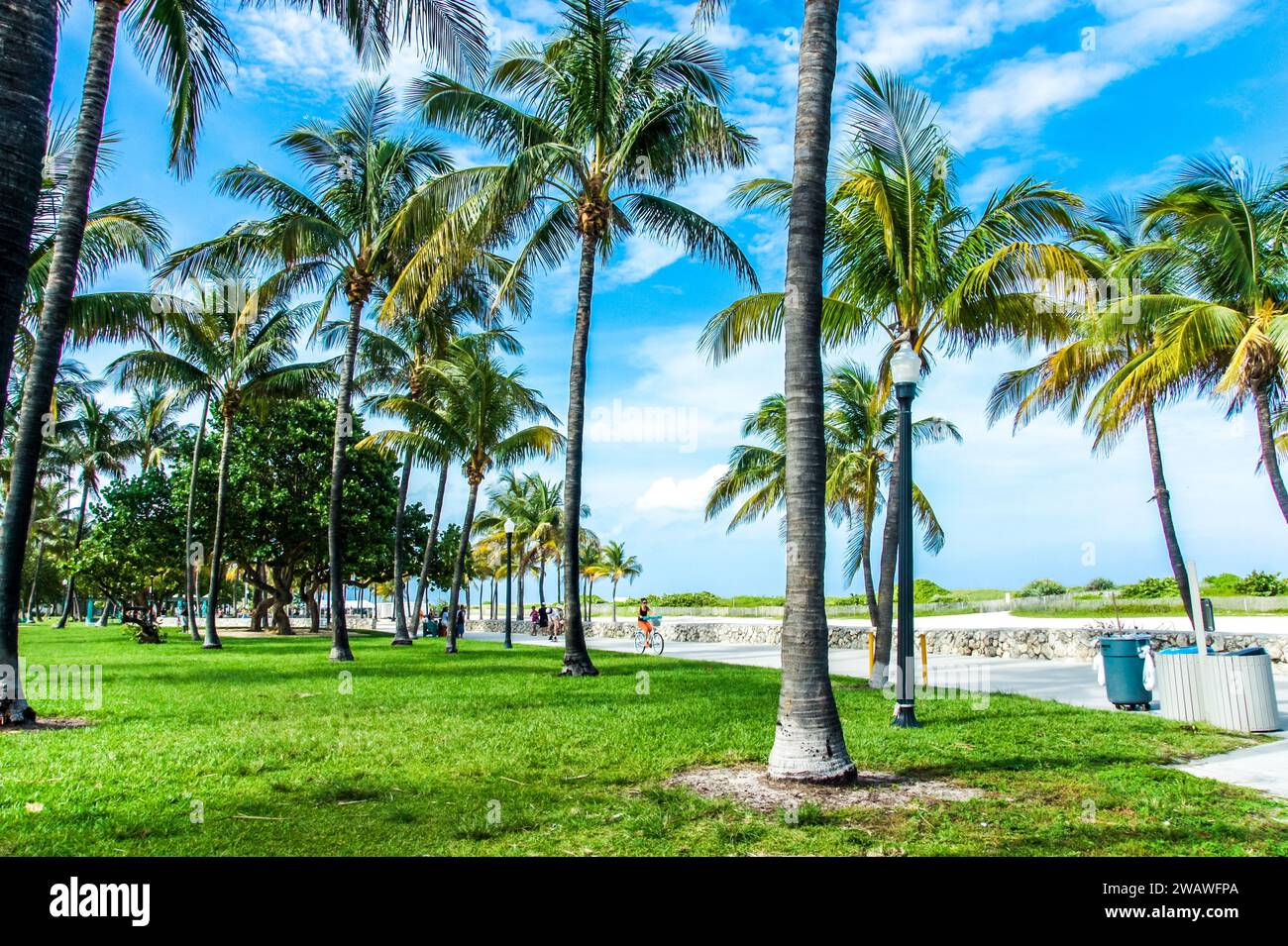 Scopri Lummus Park: L'oasi urbana di 74 ettari di Miami sull'Oceano Atlantico. Scenografico fronte spiaggia con parchi giochi, aree fitness e sentieri pavimentati. Perfetto f Foto Stock