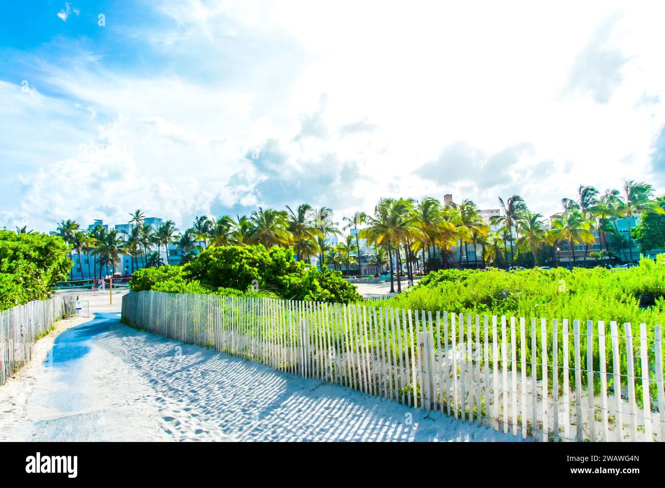 Esplora la bellezza paesaggistica di Miami con i sentieri dell'oceano e i famosi monumenti storici. Scopri foto di alta qualità di sentieri in legno e sentieri di sabbia. Piano yo Foto Stock