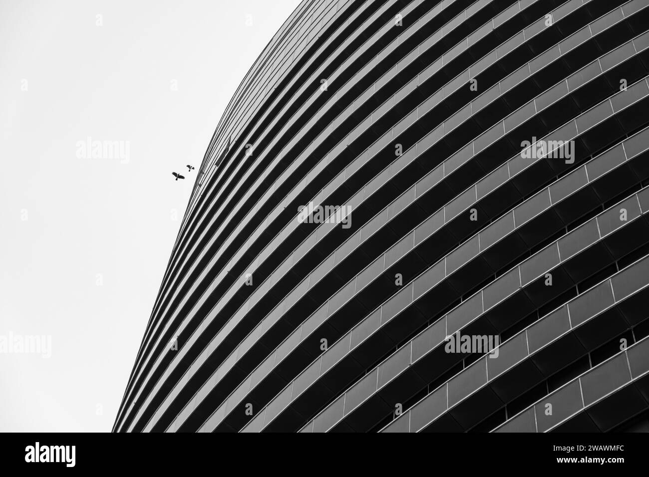 Immagine in bianco e nero di un moderno edificio curvo con linee orizzontali e uccelli che volano Foto Stock