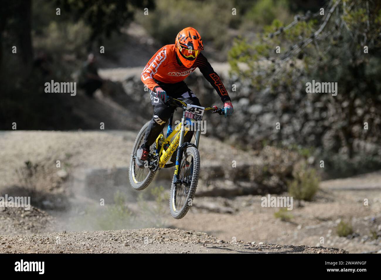 Ciclista che salta su una MTB Downhill Mountain Bike Foto Stock