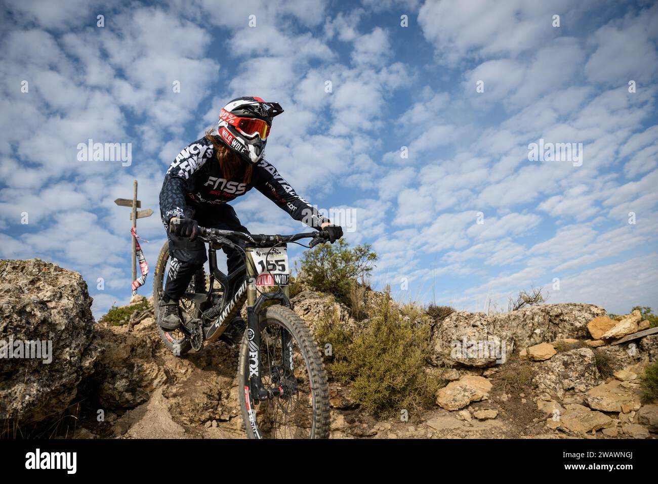 Ciclista su una MTB Downhill Mountain Bike Foto Stock
