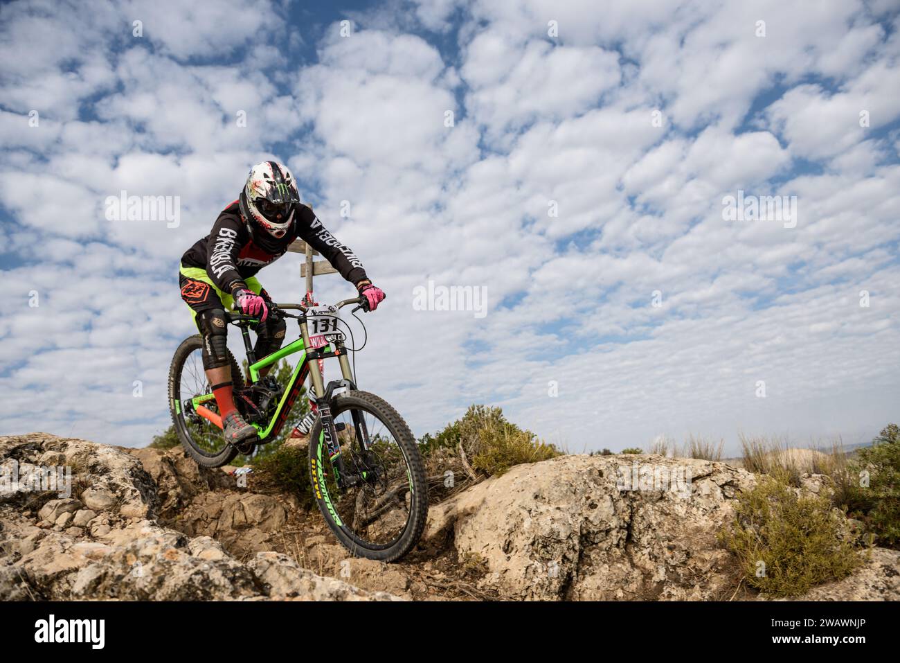 Ciclista su una MTB Downhill Mountain Bike Foto Stock