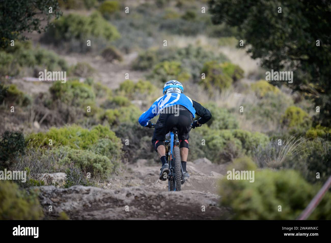 Ciclista su una MTB Downhill Mountain Bike Foto Stock
