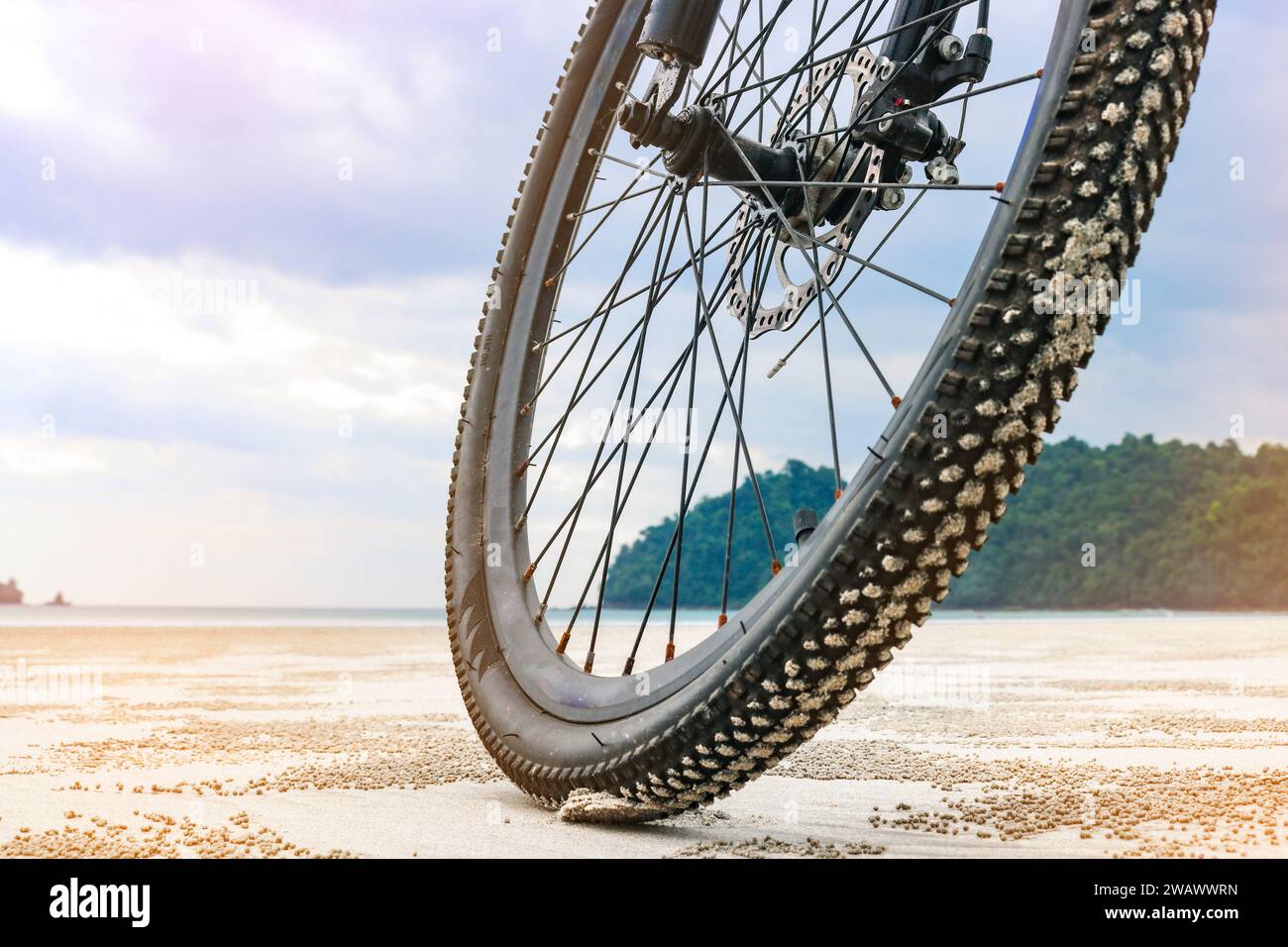Ruota in mountain bike sulla sabbia sulla spiaggia, viaggia su un'isola tropicale. Il concetto di andare in bicicletta in luoghi insoliti. Foto Stock