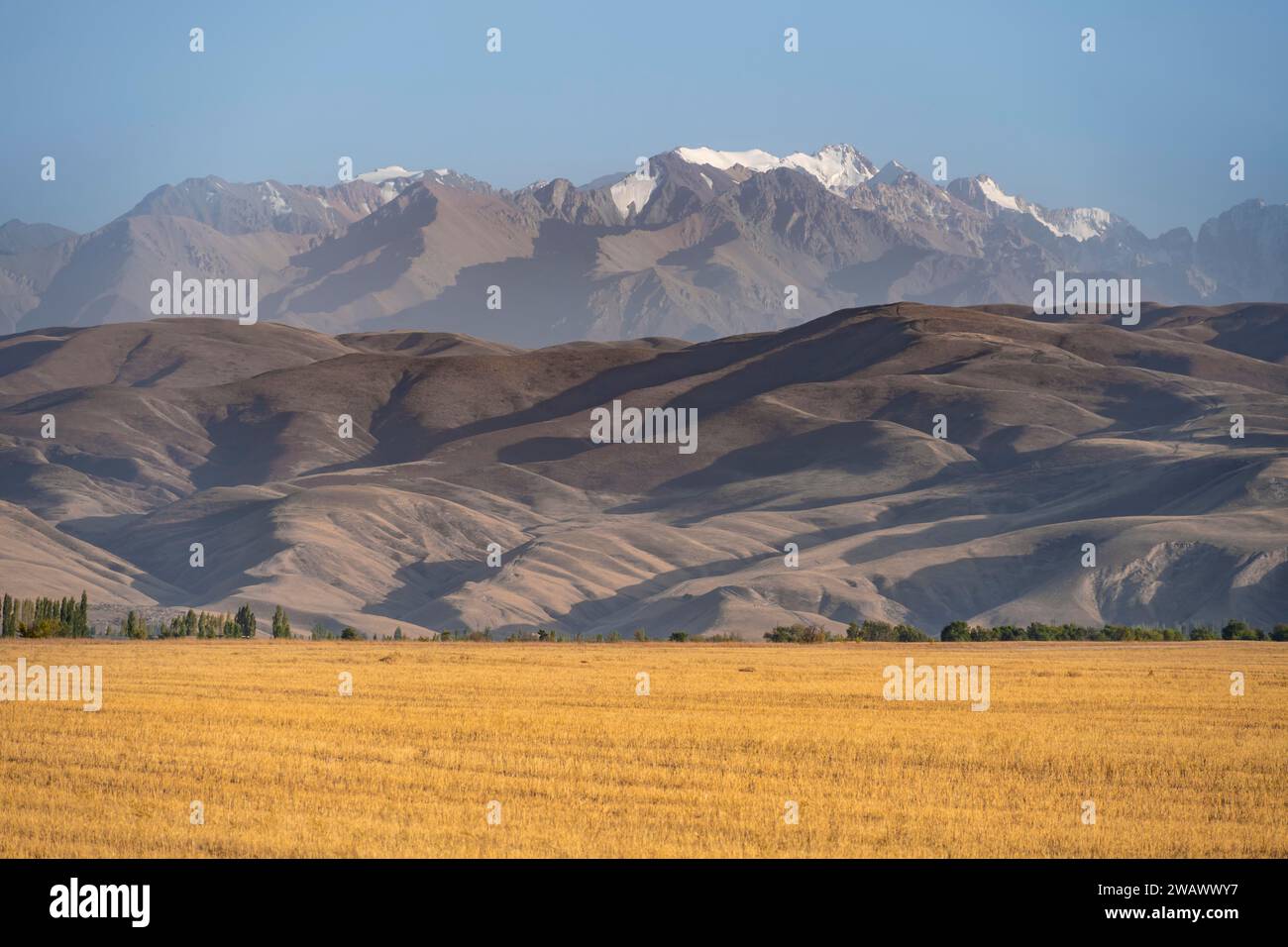 Prato di fronte a un arido paesaggio erosivo e alte montagne, in Kirghizistan Foto Stock