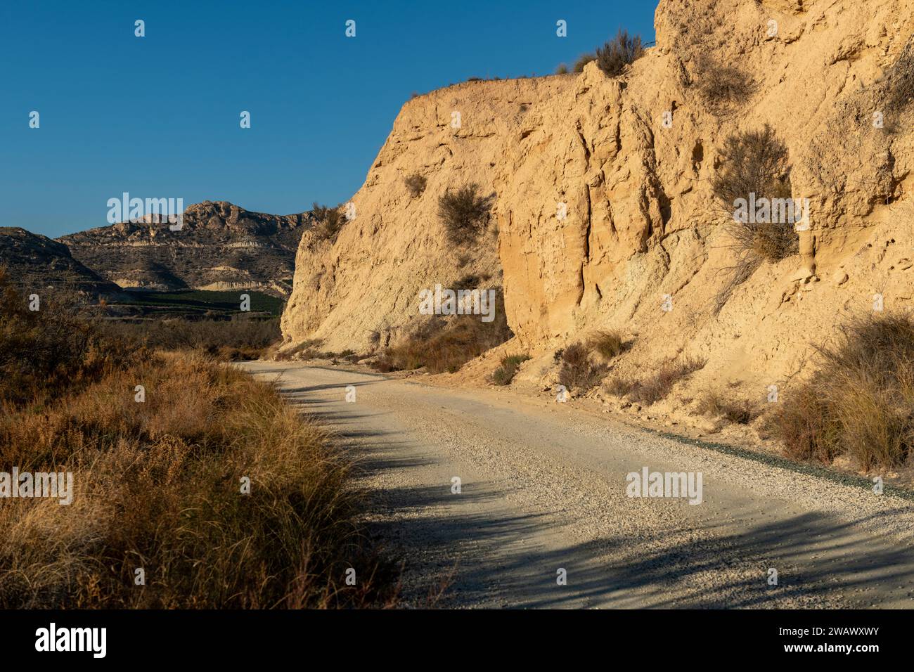 Strada sterrata in un arido paesaggio desertico con scogliere lontane e luce del sole mattutino, Elche, provincia di Alicante, Spagna - foto di scorta Foto Stock