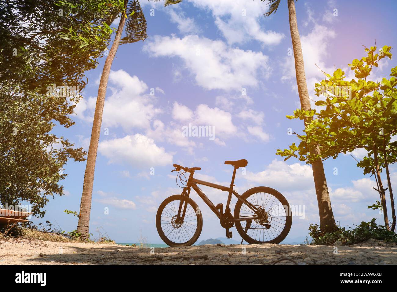 Pedala tra le palme contro il cielo blu. Il concetto di svago attivo, vacanza e viaggio. Foto Stock