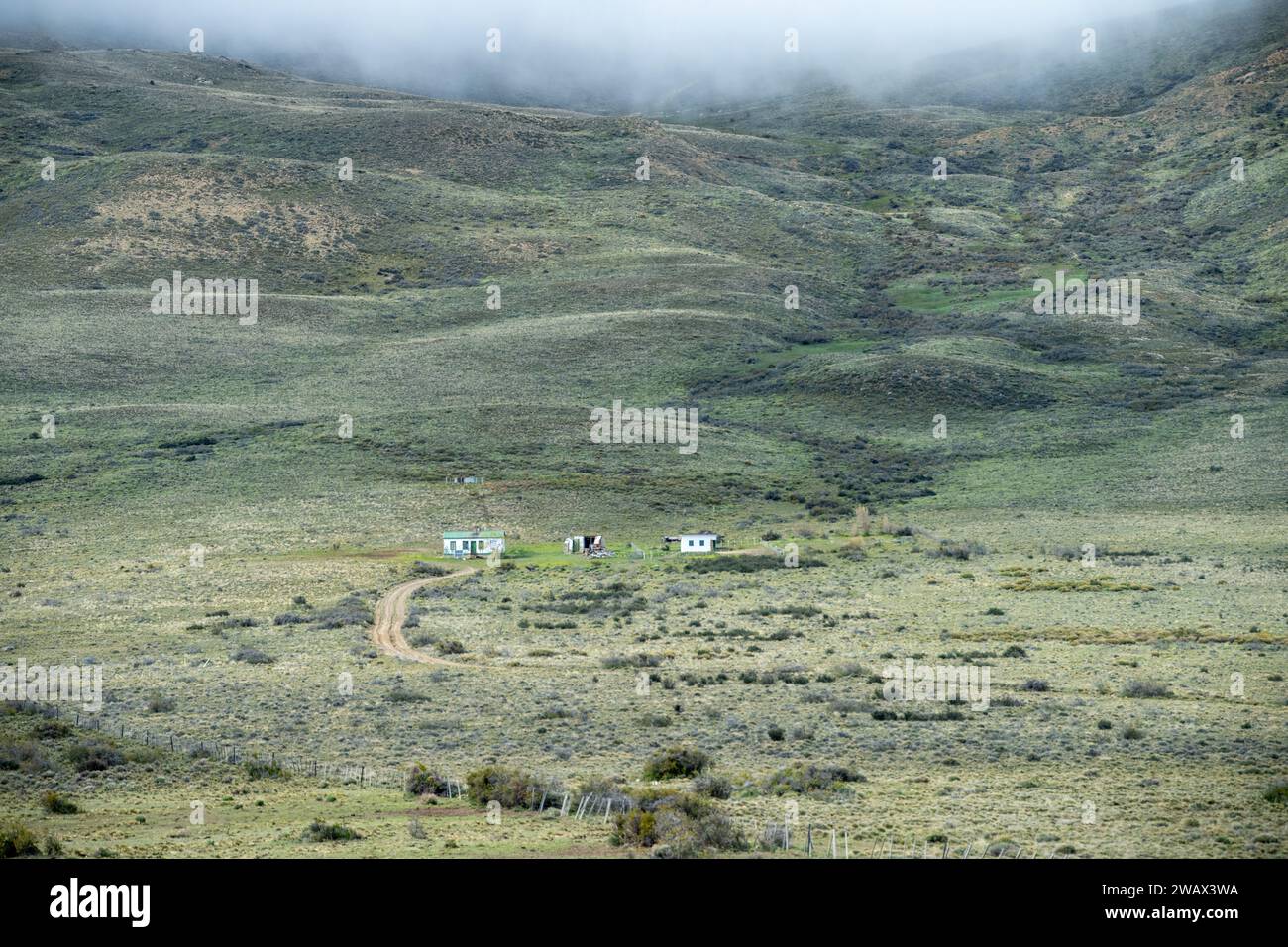 Paesaggio delle steppe della Patagonia vicino a El Calafate, Argentina Foto Stock