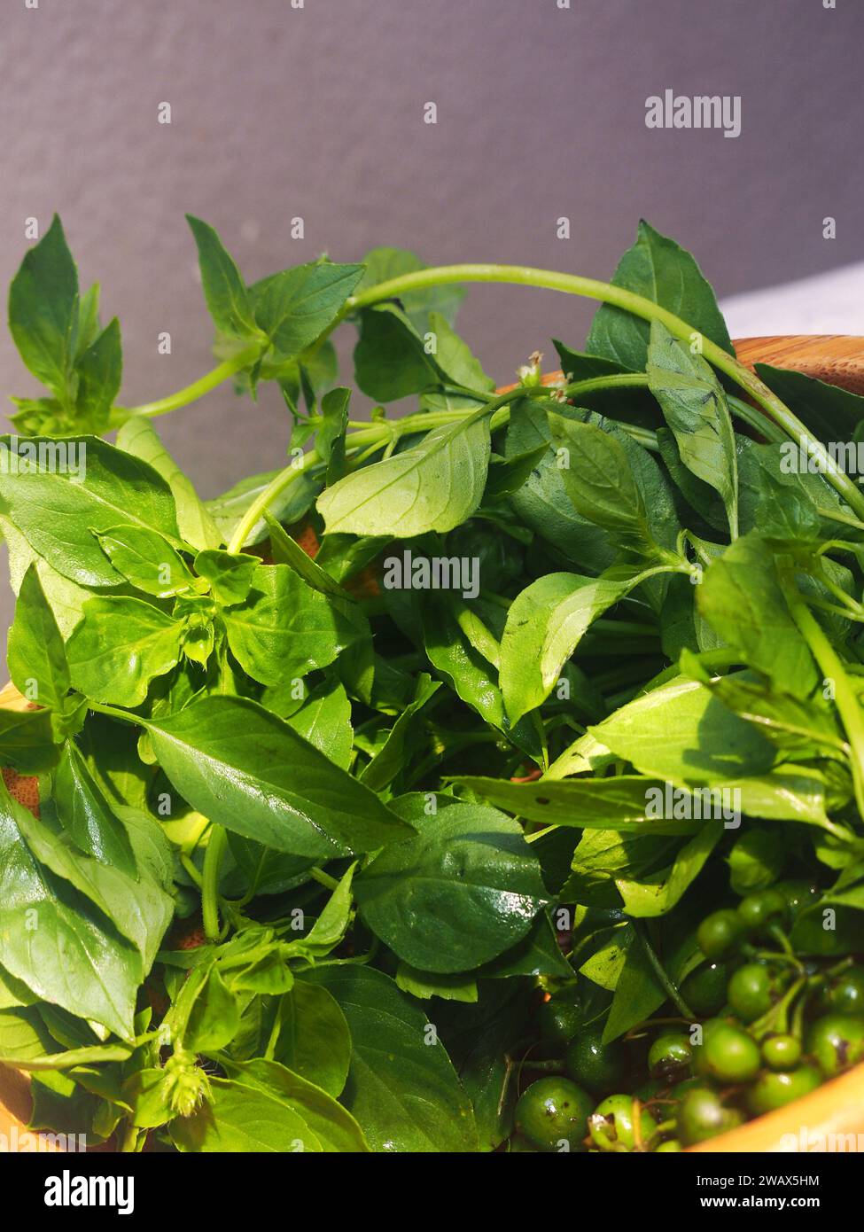 Il Kemangi (foglie di basilico) e la leunca (Solanum nigrum) sono una famosa verdura del Sundanese, Indonesia Foto Stock