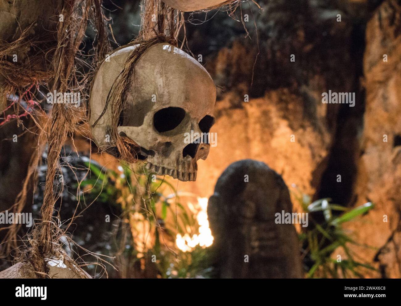 Il cranio umano appeso alla corda. Simbolo di morte. Concetto di paura e orrore. Decorazioni occulte per "dia de los Muertos" e Halloween. Sacrificio rituale Foto Stock