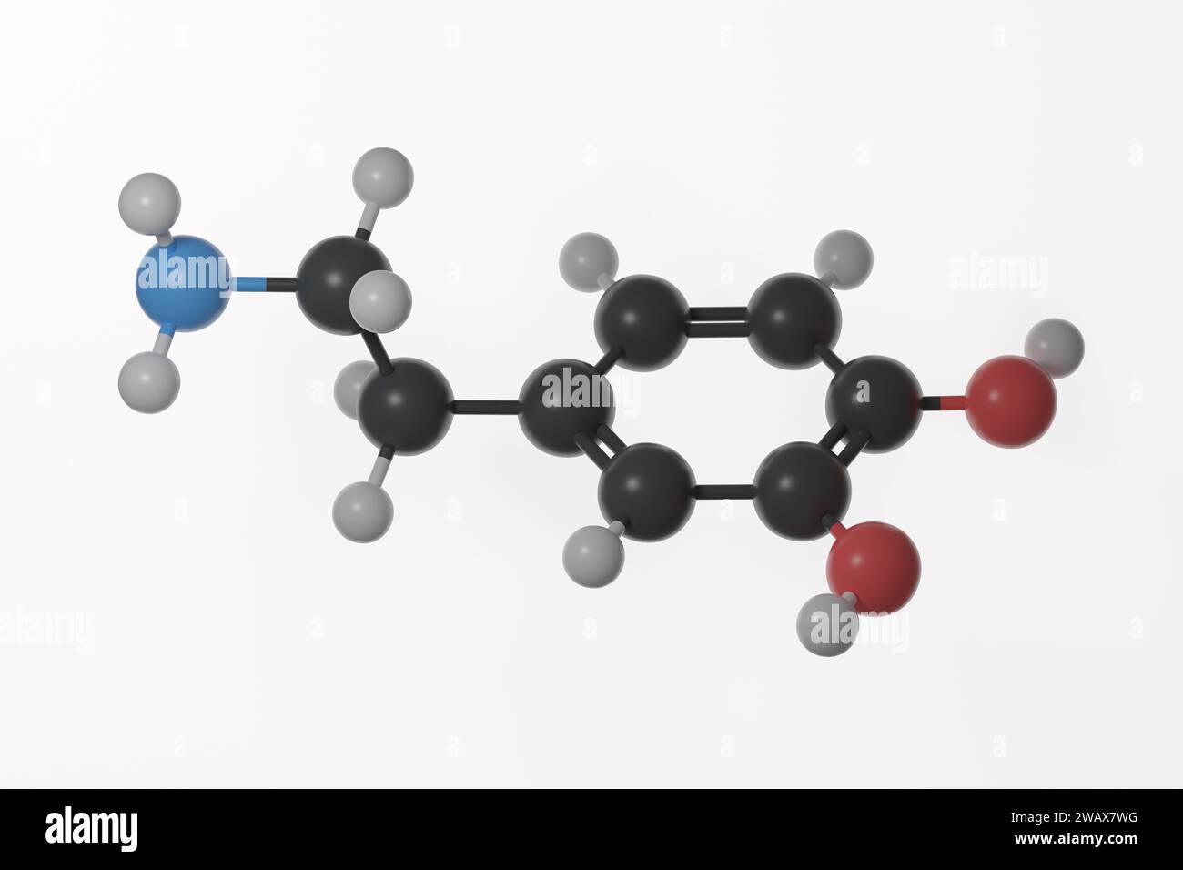 Modello a sfera e bastone di molecola di dopamina con doppi legami, su sfondo bianco Foto Stock