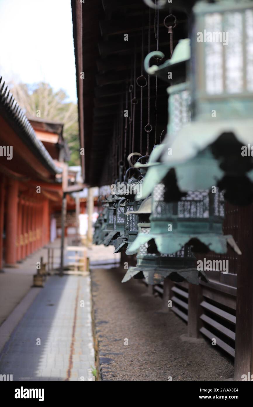 Una verticale di lampade al Santuario Fushimi-Inari Taisha, Kyoto Foto Stock