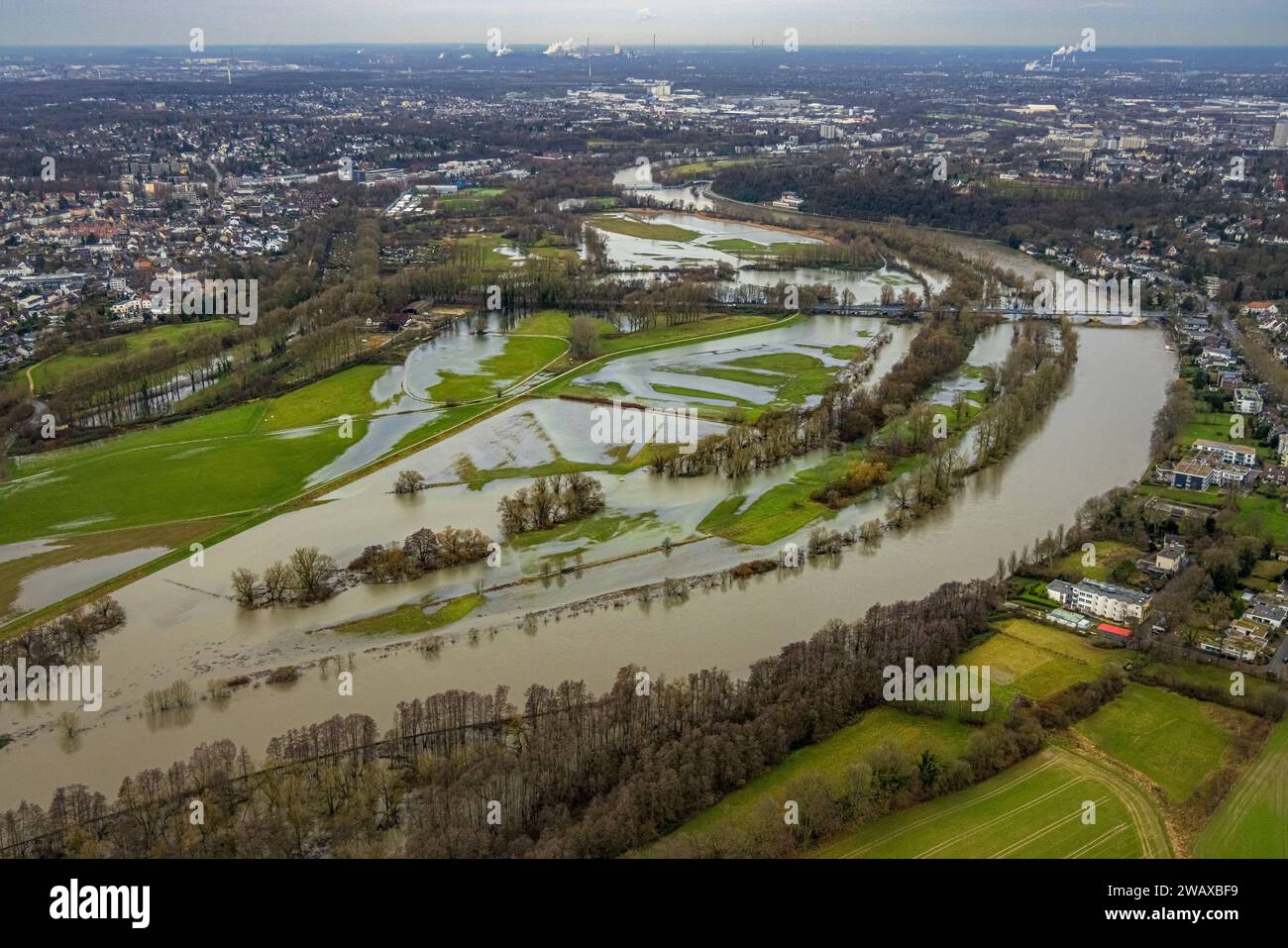 Luftbild, Ruhrhochwasser, Weihnachtshochwasser 2023, Fluss Ruhr tritt nach starken Regenfällen über die Ufer, Überschwemmungsgebiet Saarn-Mendener Ruhraue, Wiesen und Bäume im Wasser, Holthausen - West, Mülheim an der Ruhr, Ruhrgebiet, Nordrhein-Westfalen, Deutschland ACHTUNGxMINDESTHONRO - West, RUhr, RESRUHIND, RIND, RUHERS 2023 zona alluvionale Saarn Mendener Ruhraue, prati e alberi in acqua, Holthausen West, Mülheim an der Ruhr, regione della Ruhr, Renania settentrionale-Vestfalia, Germania ATTENTIONxMINDESTHONORARx60xEURO Foto Stock