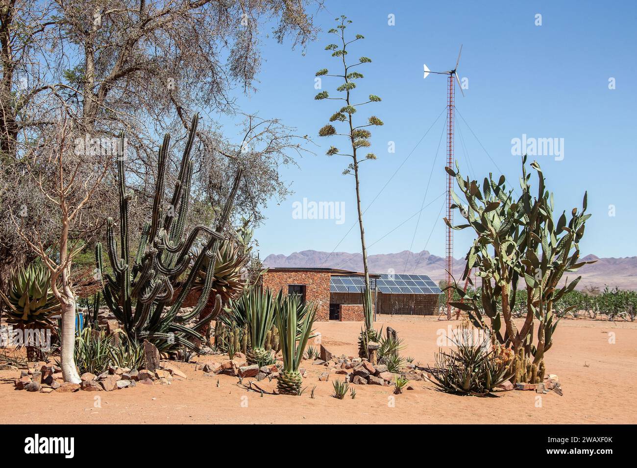 Utilizzare il deserto naturale per fornire energia eolica e solare. Foto Stock