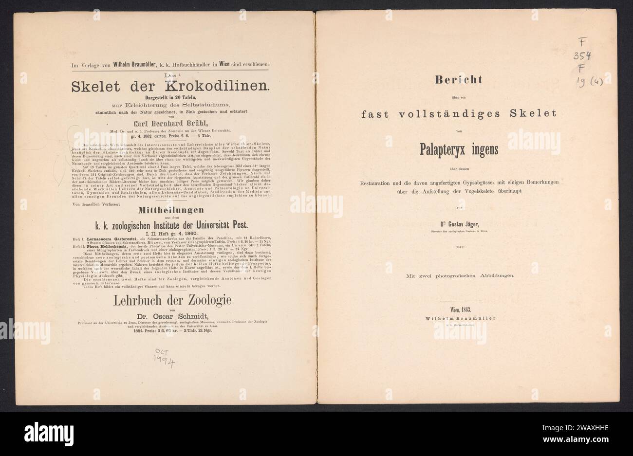 Rapporto su uno scheletro quasi completo di lingotti Palapteryx, Gustav Jäger, libro Vienna del 1863. supporto fotografico per la stampa di albumi Foto Stock