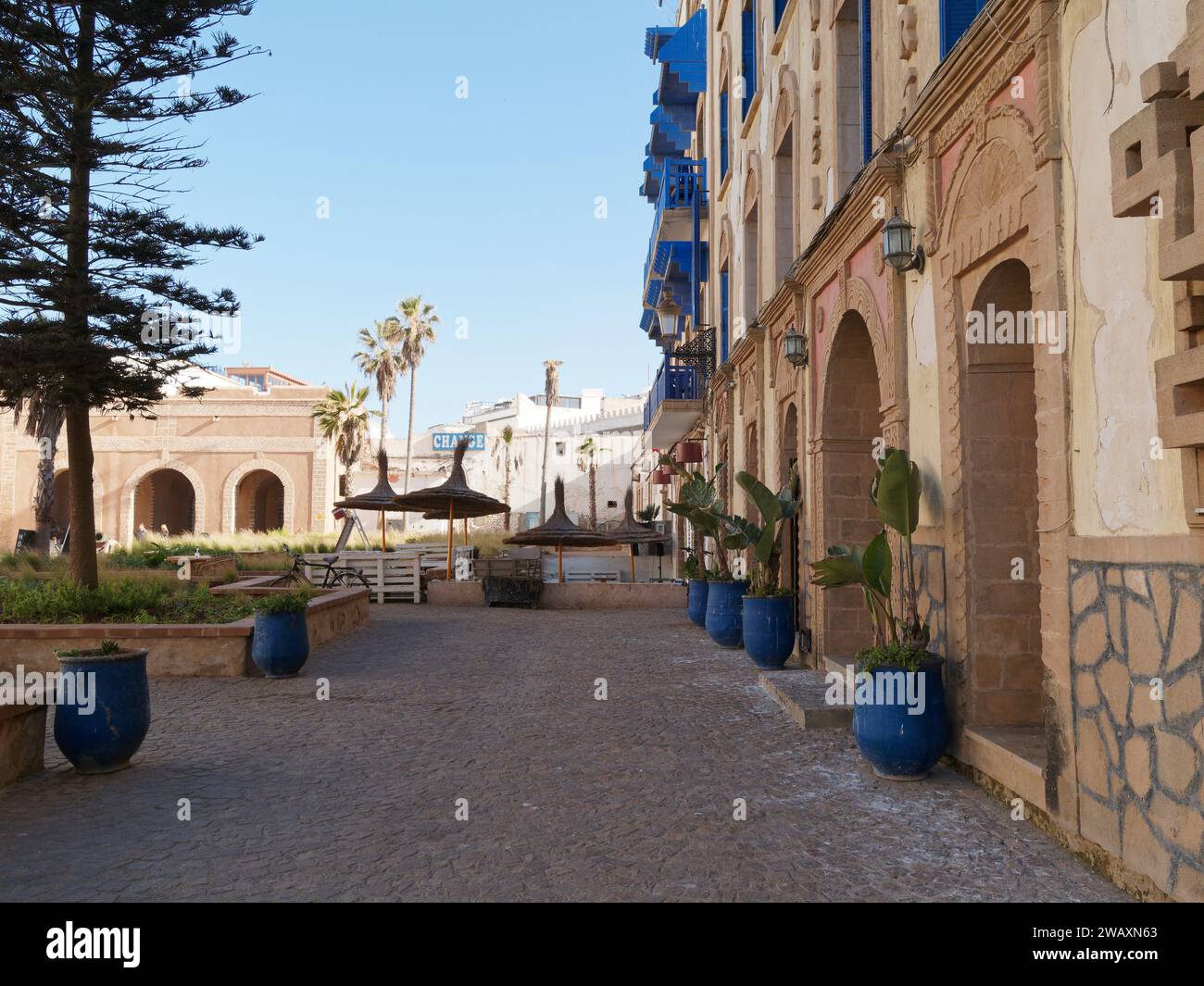 Vasi di piante blu all'esterno di un edificio nella storica medina della città di Essaouira, in Marocco. 7 gennaio 2024 Foto Stock