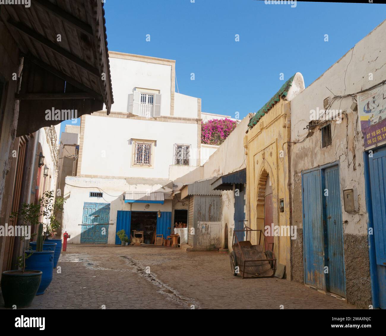 Strada nella storica medina con porte blu e vasi di piante e un carro nella città di Essaouira, in Marocco. 7 gennaio 2024 Foto Stock