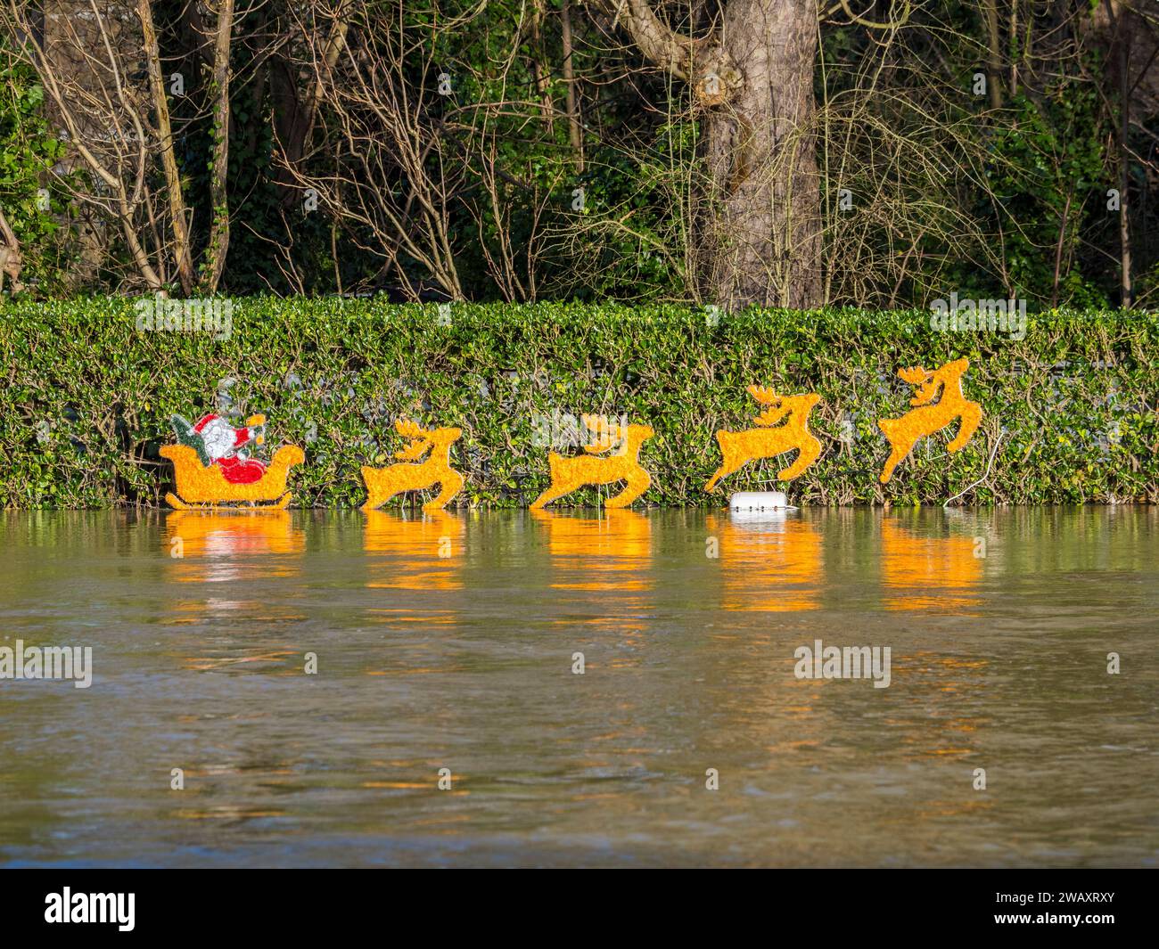 Decorazioni natalizie e innalzamento delle acque alluvionali, Fry's Island, fiume Tamigi, Reading, Berkshire, Inghilterra, Regno Unito, Regno Unito. Foto Stock