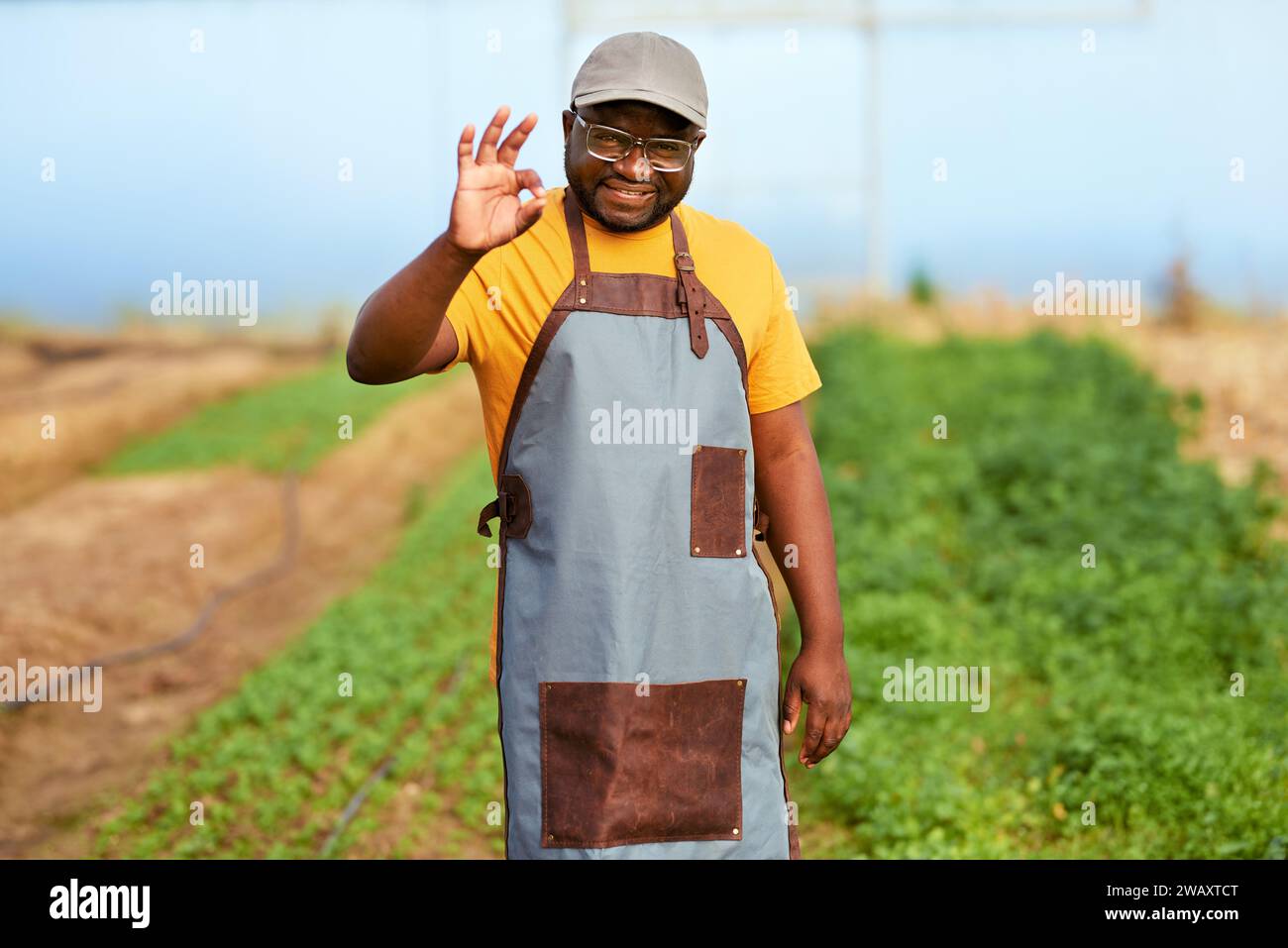 Contadino nero con il segnale OK, raccolto sullo sfondo, sorridente. Foto Stock