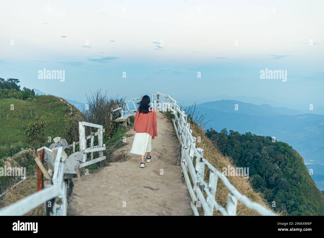 Alba, nebbia mattutina e montagna, Phu chi Dao, Chiang rai, Thailandia. Foto Stock