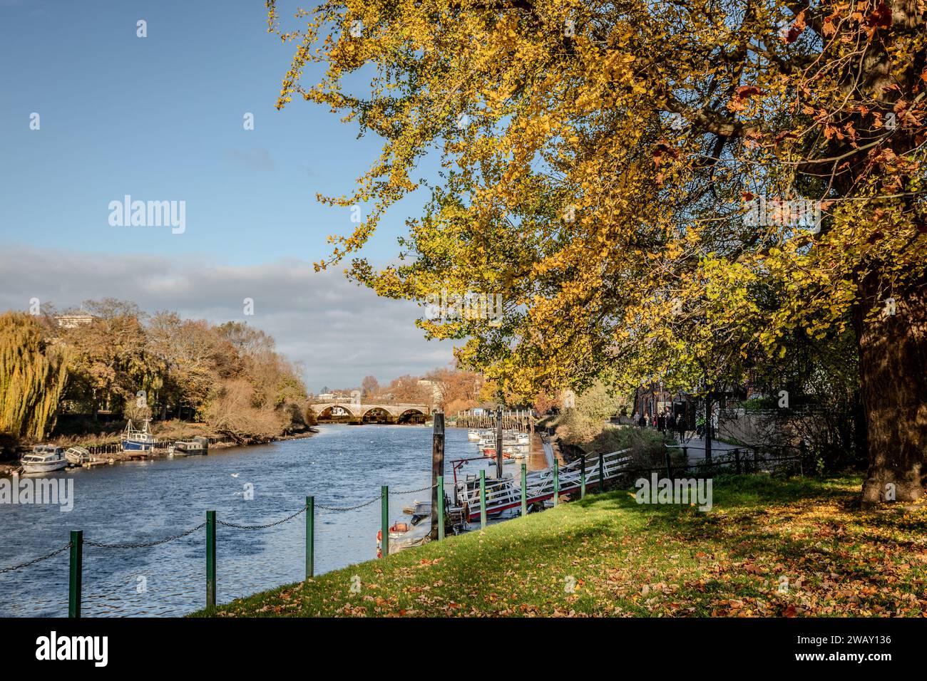 River Tamigi e Richmond Bridge, Richmond-upon-Thames, Greater London, Regno Unito Foto Stock