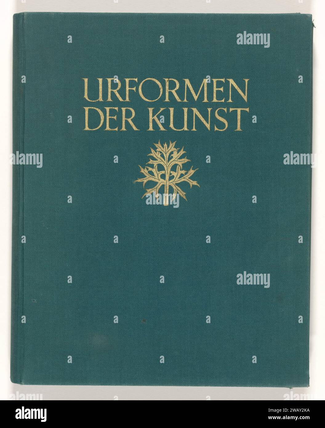 Forme d'arte: Immagini di piante fotografiche, edizione a foglia libera del 1928 di Urforms of Art Giornale di Berlino. impianti di inchiostro (in generale) Foto Stock