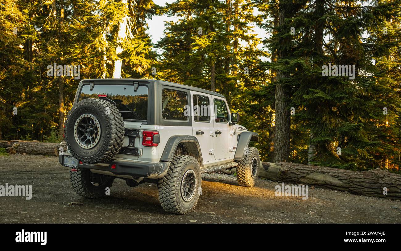 Vista laterale Jeep Wrangler Rubicon. SUV bianco fuoristrada 4 porte parcheggiato nella foresta. Fuoristrada compatto a trazione integrale e SUV sportivo. Jeep Wran Foto Stock