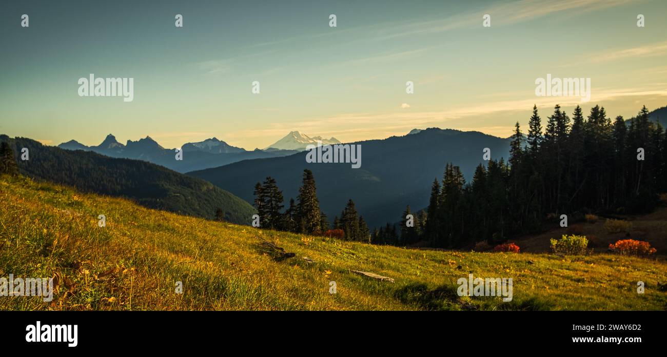 Alta montagna al mattino. Splendido paesaggio naturale. British Columbia Canada. Foresta spessa nella British Columbia. Vegetazione verde. Foto Stock
