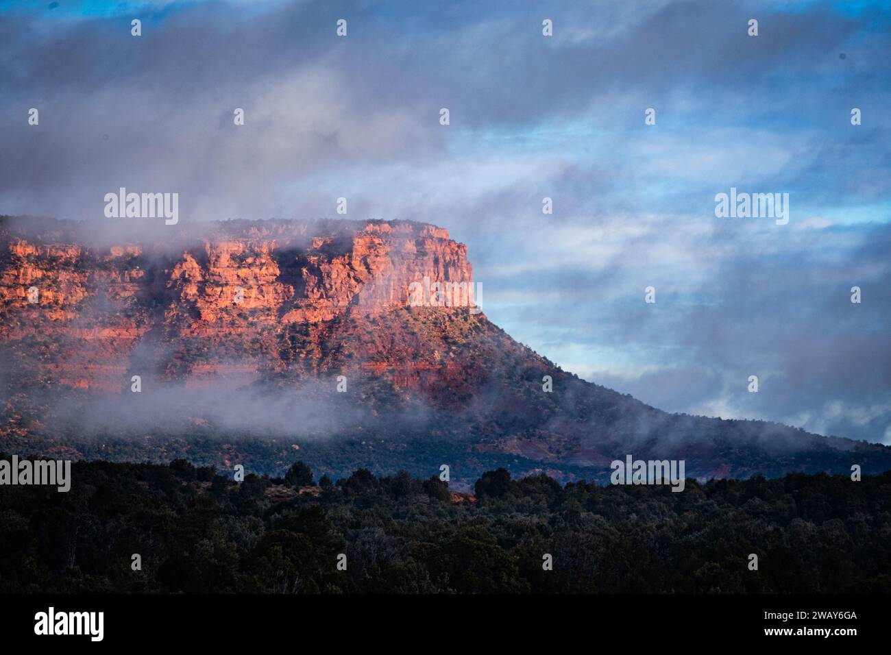 Un paesaggio montano panoramico con una coltre di nebbia e lussureggianti alberi sempreverdi in primo piano Foto Stock