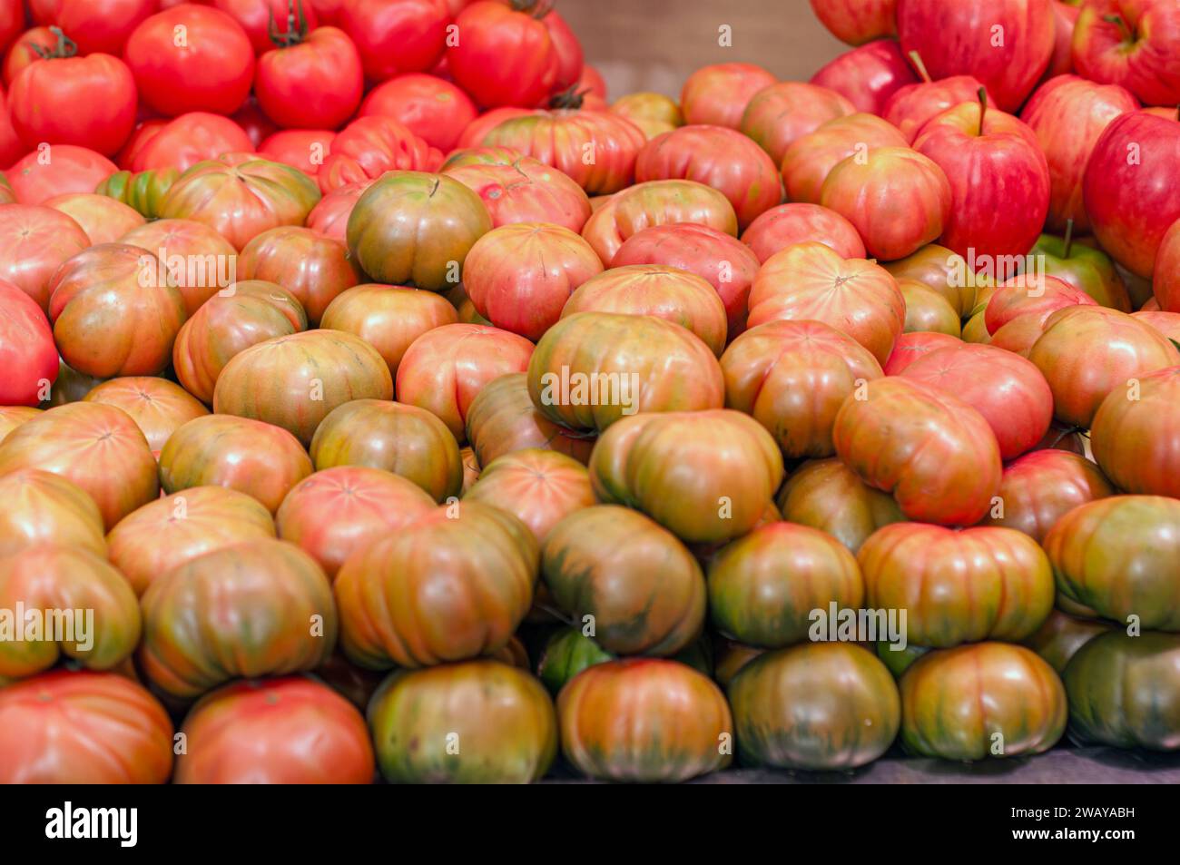 Pomodori biologici appena raccolti nel giardino valenciano e messi in vendita nel mercato centrale. Foto Stock