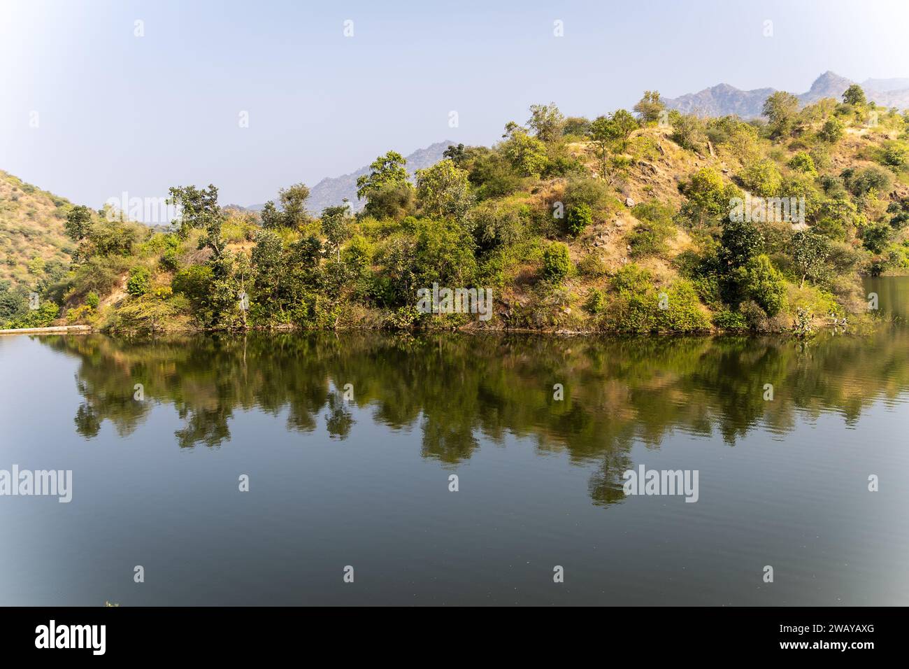 lago incontaminato con riflessi della foresta di montagna di giorno da un'angolazione diversa Foto Stock