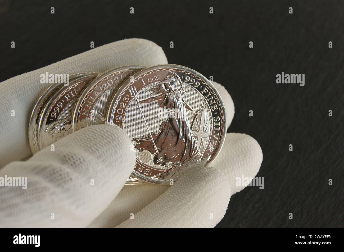 Monete d'argento nelle mani di un numismatico. Due sterline Britannia. Foto Stock