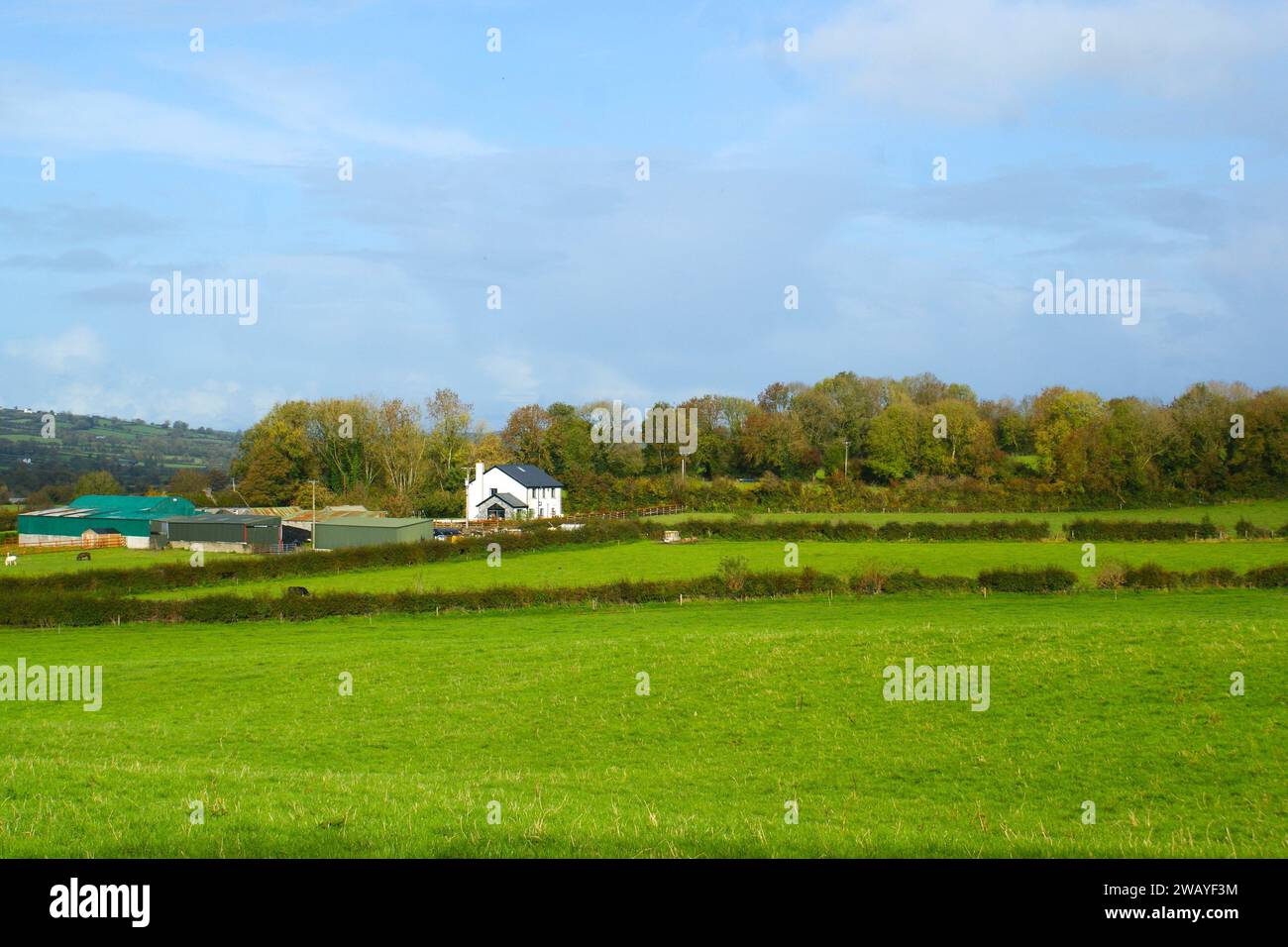 Paesaggio rurale in Irlanda con una casa bianca Foto Stock