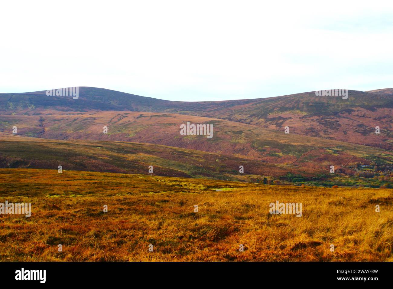 Paesaggio collinare, Wicklow Mountains, Irlanda Foto Stock