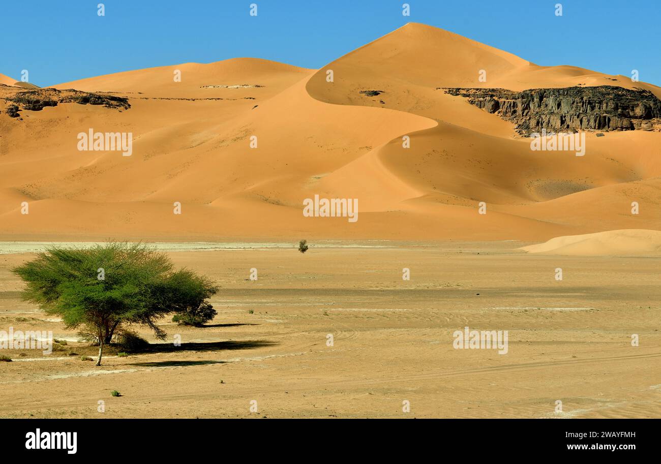 DUNE DI SABBIA NEL DESERTO DEL SAHARA IN ALGERIA INTORNO ALL'OASI DJANET E ALLA REGIONE DI TADRART ROUGE Foto Stock